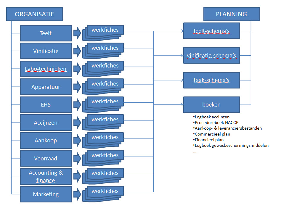 organisatieplanning